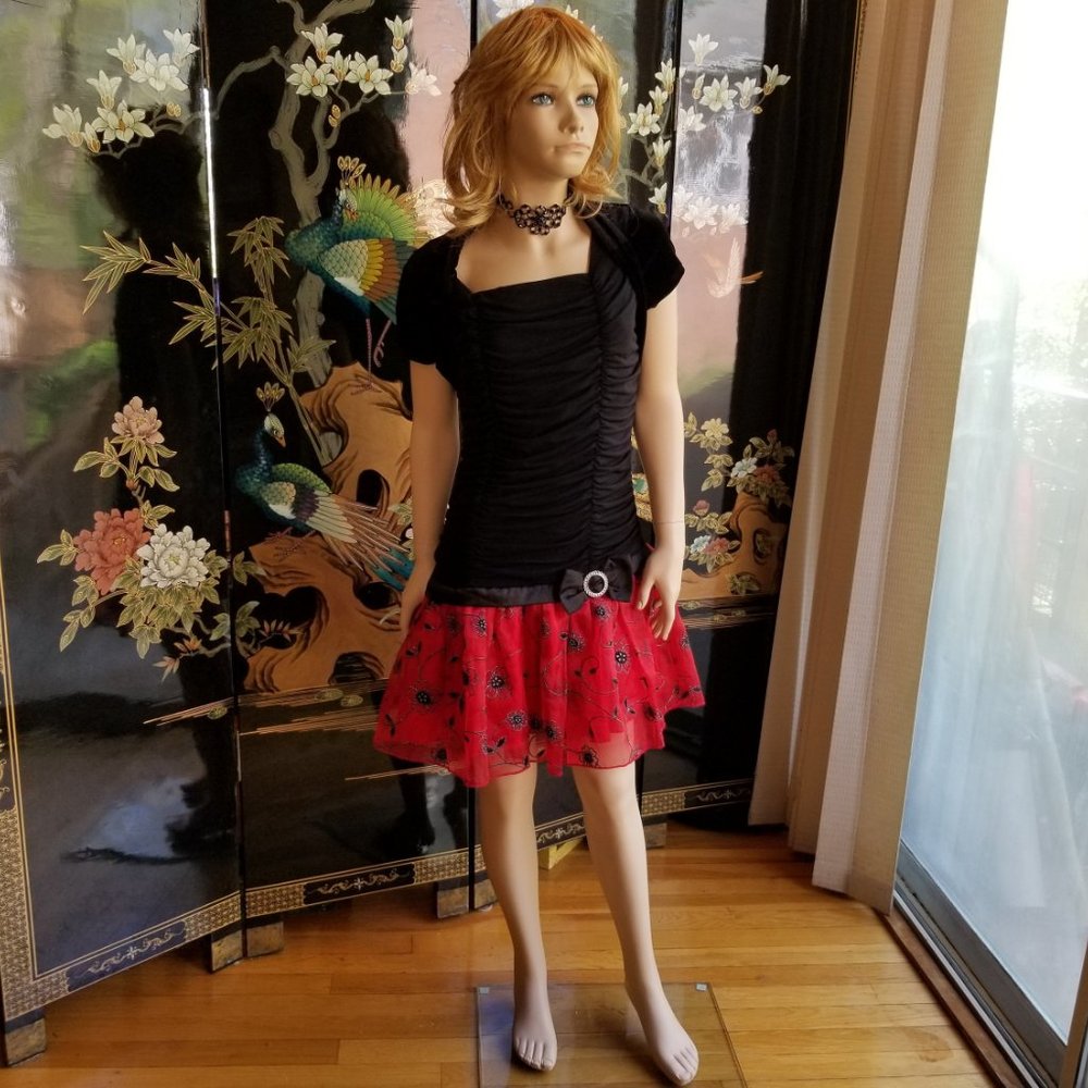 Amy's Closet Size 14 Formal Red Black Modern Dress